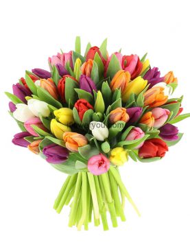 Bouquet of 50 multi-color tulips